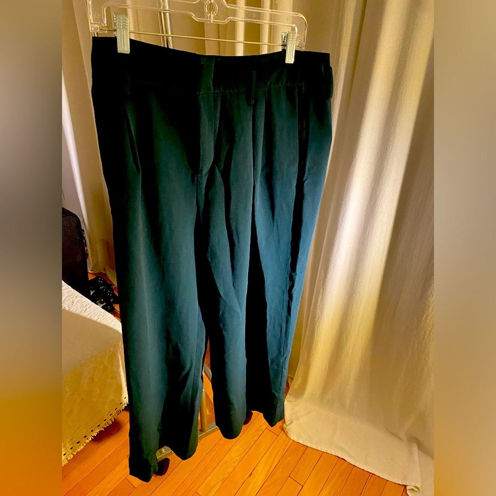 Emerald pants, single color. tight at the waist, wide legs. great figure. 10